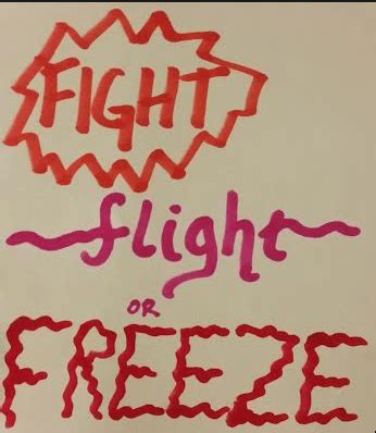 fight flight freeze response  counselling coaching