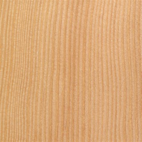 douglas fir  wood  lumber identification softwood