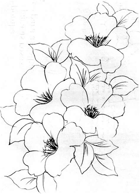 risco flores pinteeborde pagina  flower drawing flower sketches