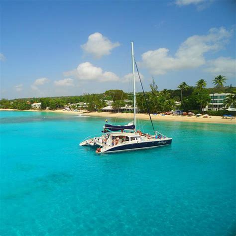 Things To Do In Barbados Small Size Big Vibe Bfc