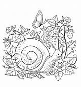 Snail Nature Coloring Printable Pages Kids Description A4 sketch template