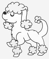 Poodle Coloring Clipartkey sketch template