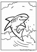 Shark sketch template