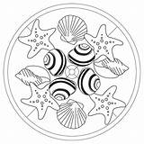 Conchiglie Caracolas Estrellas Lato Escuelaenlanube Kolorowanki Estivo Conchas Mandale Kigaportal Seashell Dibujosparacolorear Muschel Seashells Seesterne Przedszkole sketch template