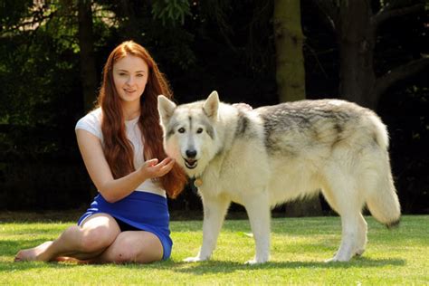 game of thrones actress sophie turner adopted her direwolf