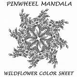 Pinwheel Mandala Coloring sketch template