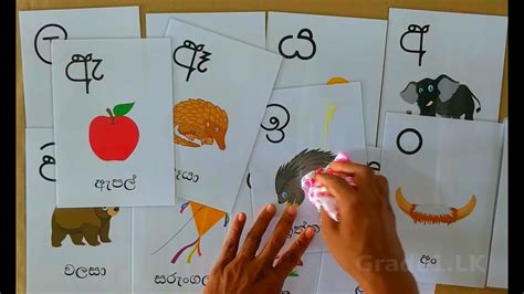 sinhala alphabet alphabet  kids letters  kids alphabet letters