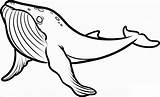 Whale Coloring Pages Kids Printable Killer Drawing Animal Humpback Color Sea Animals Colouring Coloringbay Step Mandala Drawings Draw Dragoart Choose sketch template