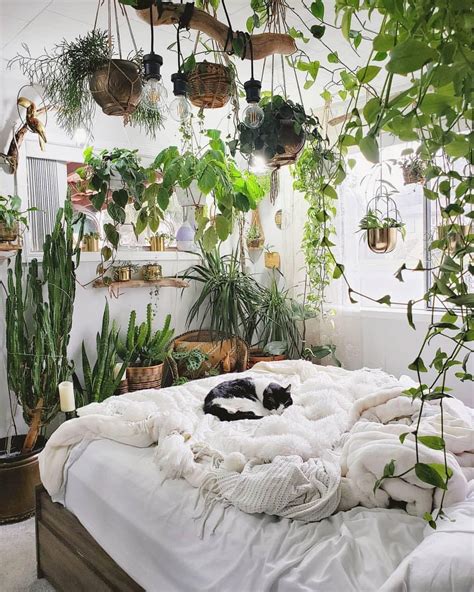 aesthetic bedroom decor aesthetic rooms plant room aesthetic house