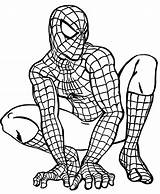 Spiderman Mewarnai sketch template