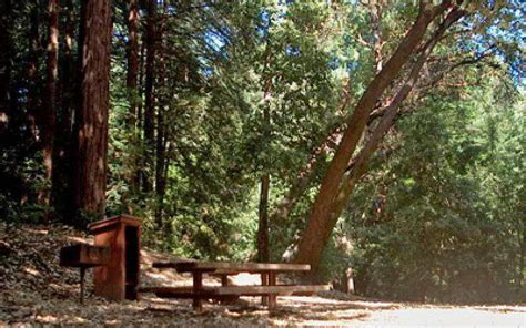 Huddart Park Toyon Campground Woodside California Ca