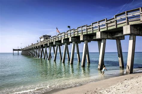 surprising facts  venice florida   visitor guides