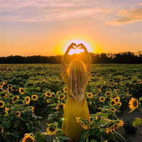 Love Is In The Field In 2022 Sunflower Field Photography Sunflower