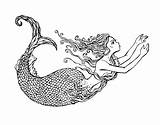 Erwachsene Meerjungfrau Meerjungfrauen Malbuch sketch template