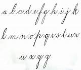1800s Cursive Spencerian Alphabet Ladies Lowercase Calligraphy Penmanship Pisma Upside Lower 1950 Capital Alphabets Simple Uppercase Copperplate Pisania ładnie sketch template