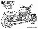 Harley Davidson Coloring Pages Hot Rod Print Adult Logo Drawings Motorcycle Printable Detailed Line Google Cars Rat Color Sheets Rods sketch template
