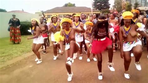 reed dance zulu culture youtube