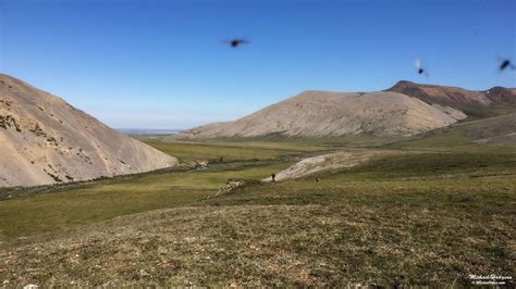 mosquitos  sunset pass arctic national wildlife refuge  travel tales