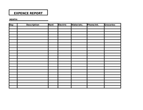 sample expense report  document template