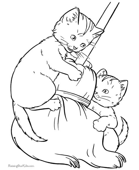 animal coloring pages  cats