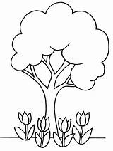 Coloring Pages Trees Tree3 sketch template
