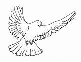 Dove Coloring Descending Spirit Holy Symbol Clipart Template sketch template