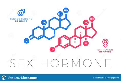 testosterone and estrogen sex hormone molecule isolated vector