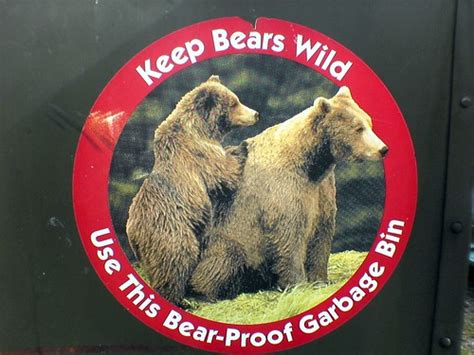 Bears Having Sex Keep Bears Wild I Don T Think You D