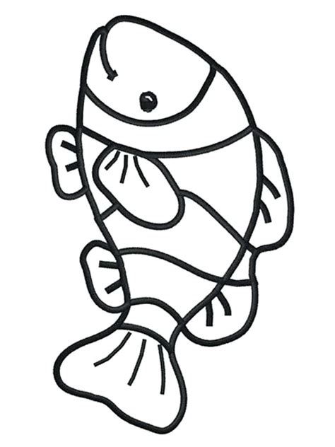 saltwater fish drawing  getdrawings