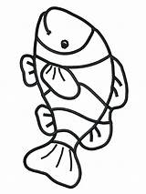 Fish Saltwater Getdrawings Drawing sketch template