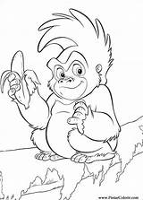Selva Livro Tarzan Printables Monkey sketch template