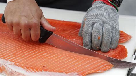 negara penghasil ikan salmon terbesar dunia  ri