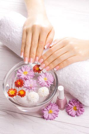 french manicure  essential oils apricot flowers spa stock photo