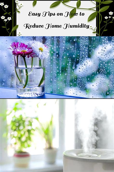 easy tips    reduce home humidity humidity home home decor