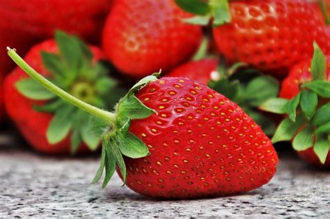 caracteristicas  beneficios de las fresas imagazine soluciones