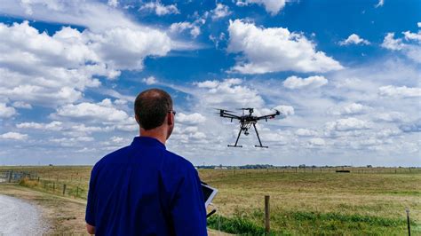 drones   farm putting facial recognition   pasture cnet