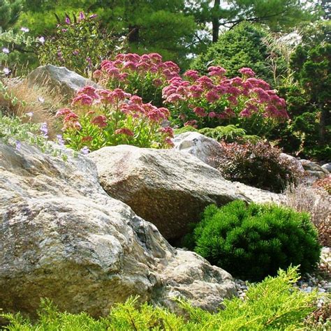 gorgeous rock garden designs rock garden ideas hgtv