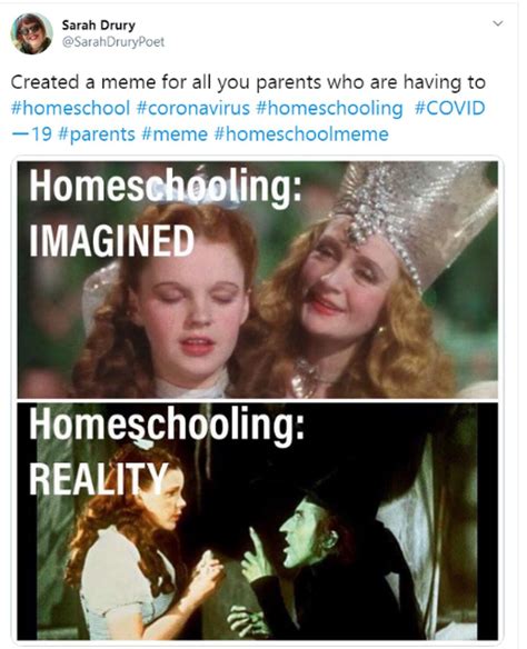 homeschooling memes