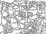 Jungla Colorear Habitats Biopedia sketch template