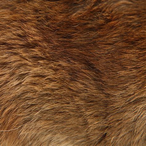 bear fur brown bear fur texture fur aesthetic fur texture