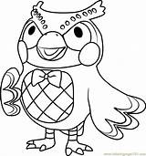 Crossing Animal Coloring Blathers Pages Colouring Animals Coloringpages101 Animalcrossing Printable Getdrawings sketch template