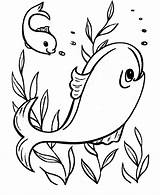 Coloring Pages Fish Ocean Easy Kids Printable Sheets Fun Sea Clipart Shapes Activity Preschoolers Gorilla Print Animal Outline Preschool Goat sketch template