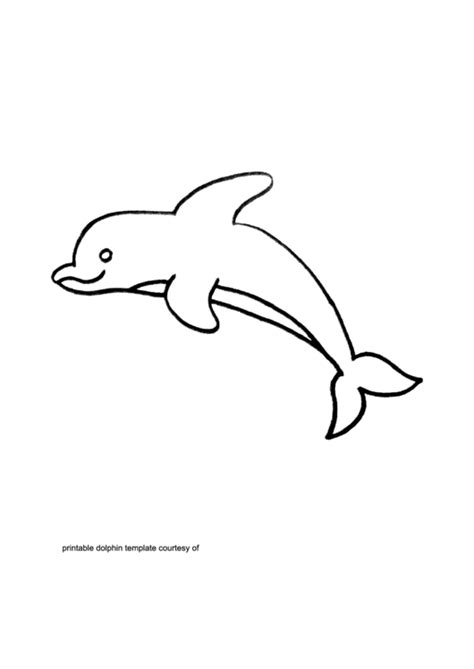 dolphin template printable
