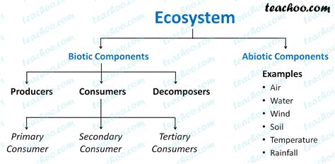 components  ecosystem biotic  abiotic teachoo concepts