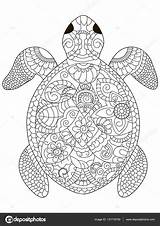 Tortue Volwassenen Kleurplaten Adulte Adultes Turtle Zeeschildpad Schildpad Hawaiian Stockvector Ausmalen Schildkröte Mewarn15 Erwachsene Zen Vectorielle Coloration Vecteur Greatestcoloringbook Zentangle sketch template