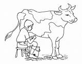Milking Cows Colorluna sketch template