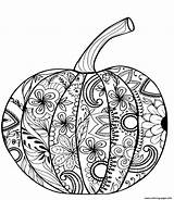 Citrouille Coloring Adulte Pumpkin Thanksgiving Antistress Gratuit sketch template