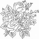 Roses Rosas Naturaleza Colorear Coloriages Colouring Cloverbud Album Engraving Getcolorings Shee sketch template