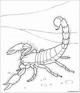Desert Coloring Pages Scorpion Animals Printable Giant Kids Color Ldshadowlady Sheets Supercoloring Scorpions Print Fox Adults Template Drawing Online Colorir sketch template