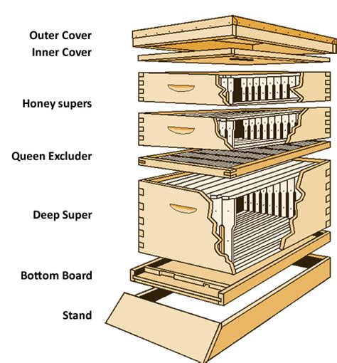 Parts Of The Langstroth Hive Bees Pinterest